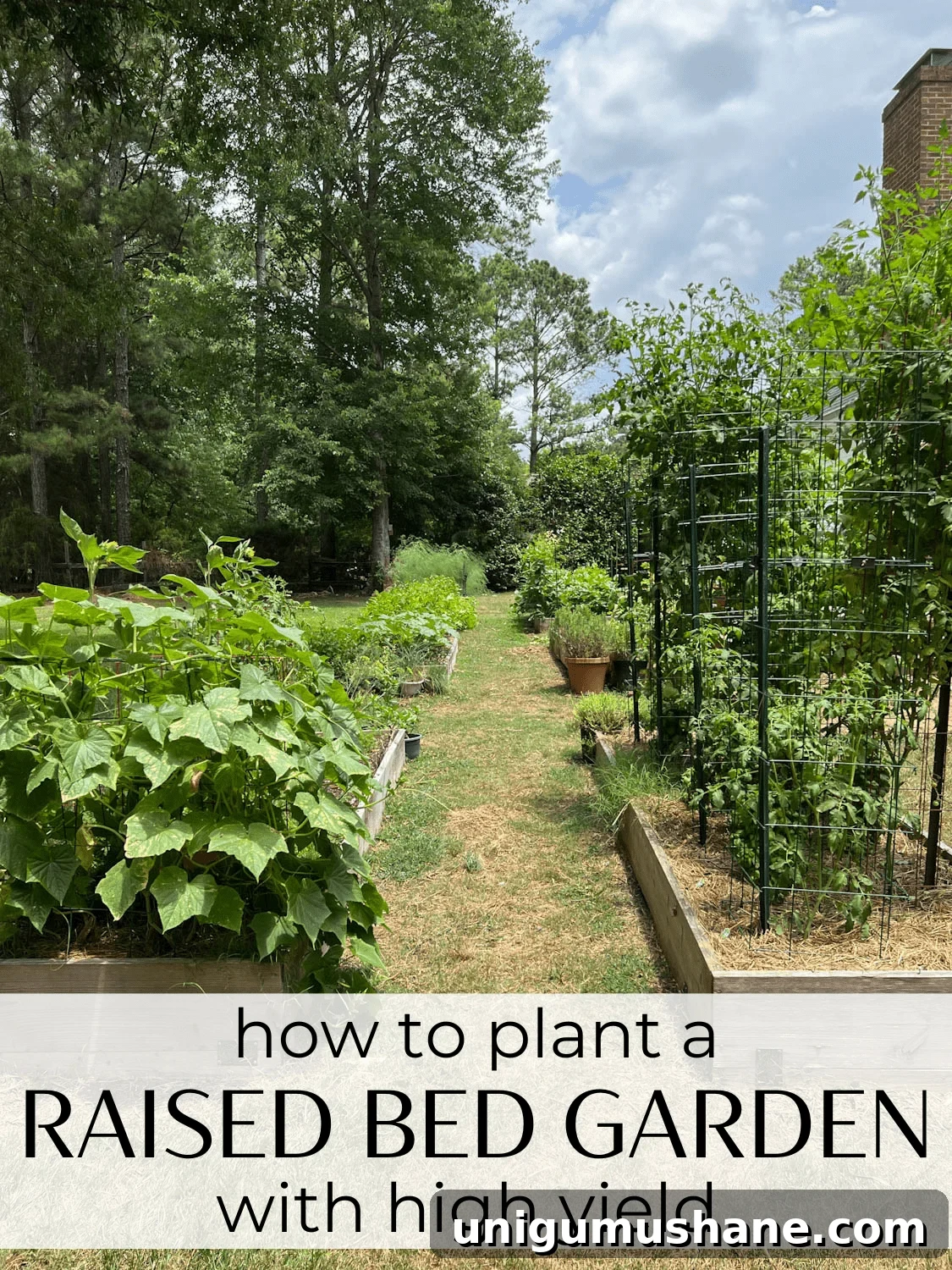 How to Grow a High Yield Raised Bed Vegetable Garden 2 The tricks and secrets for how to plant a raised bed vegetable garden with high yield. A master gardener shares his best tips.