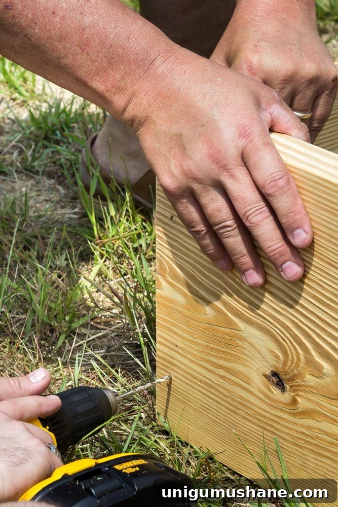 How to Grow a High Yield Raised Bed Vegetable Garden 7 screwing boards together for building a raised bed vegetable garden frame