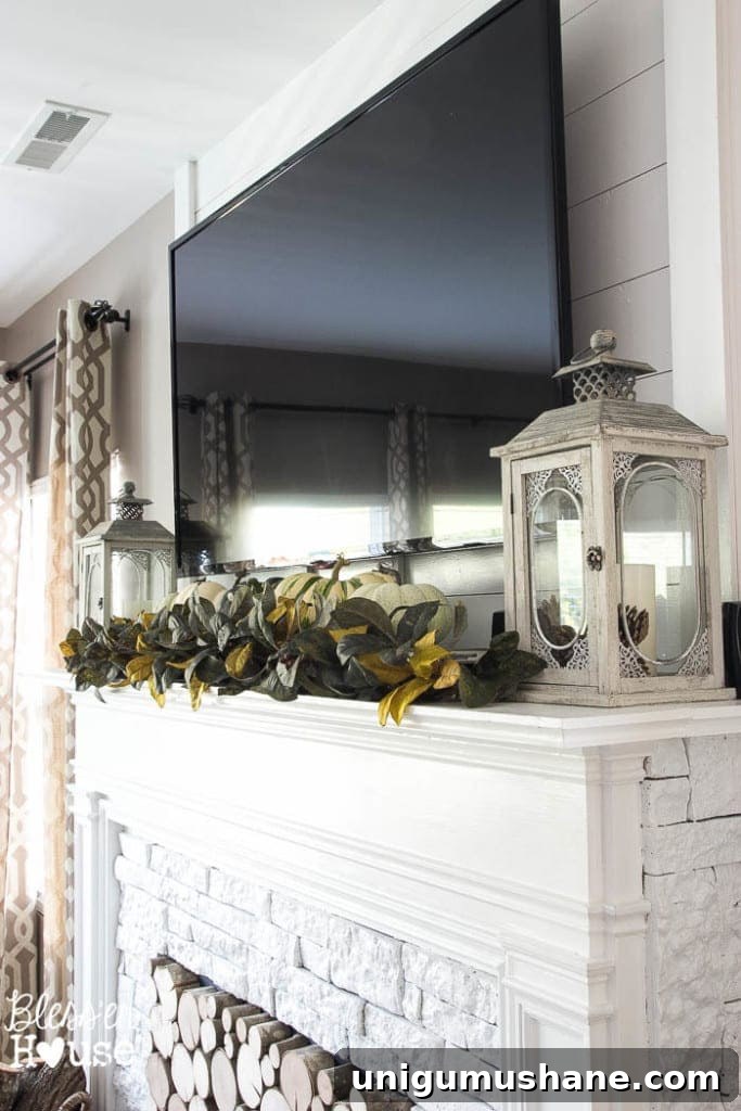 How to Decorate Around Your TV Without Sacrificing Style 2 Decorating Around a TV | blesserhouse.com