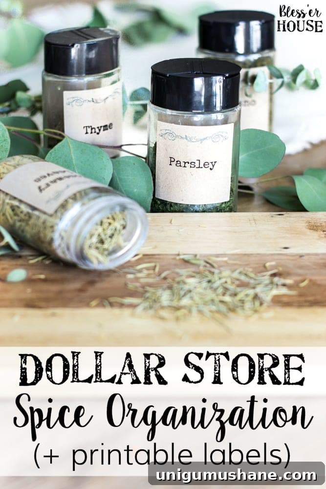 Organize Dollar Store Spices with Printable Labels 2 Dollar Store Spice Organization and Printable Labels | blesserhouse.com - How to organize a spice drawer with items from the dollar store.