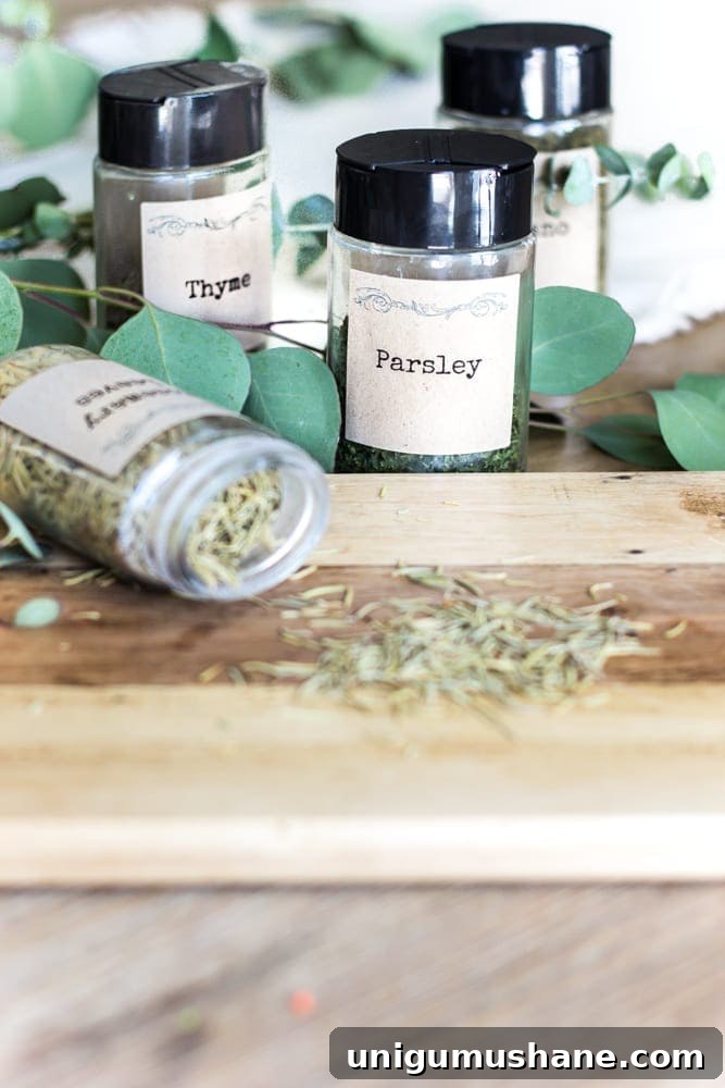 Organize Dollar Store Spices with Printable Labels 9 Dollar Store Spice Organization and Printable Labels | blesserhouse.com - How to organize a spice drawer with items from the dollar store.