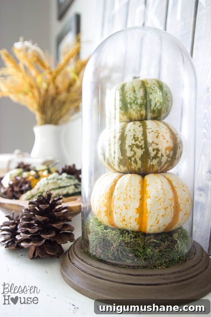 10 Thrift Store Finds You Should Always Buy 5 10 Items to Always Buy at Thrift Stores | blesserhouse.com - Lots of great, inexpensive home decor ideas from the thrift store!
