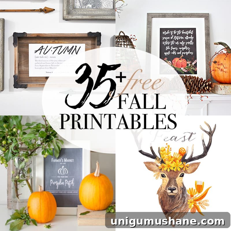 Printable Halloween Entryway Signs and Potion Labels 2 Halloween Entryway, Dictionary Art, Potion Printables + 35 Free Fall Printables | blesserhouse.com
