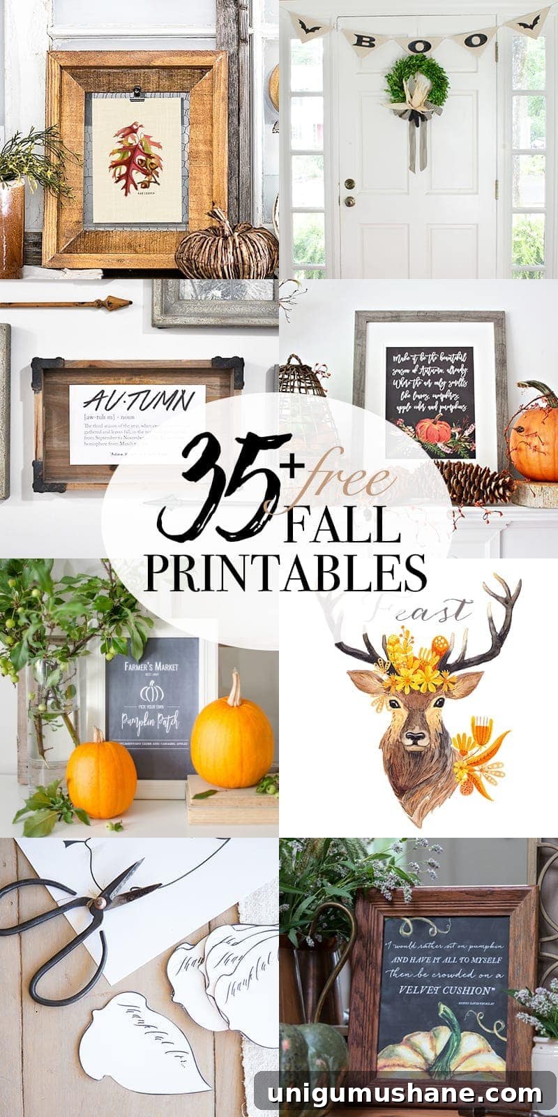 Printable Halloween Entryway Signs and Potion Labels 15 35 free fall printables