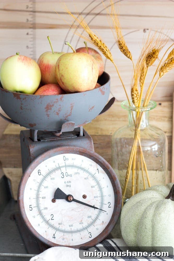 2016 Fall Home Tour: Cozy Seasonal Decor Ideas 8 Fall Home Tour 2016 | blesserhouse.com - Tips and tricks for how to incorporate fall decor easily and inexpensively in your home.