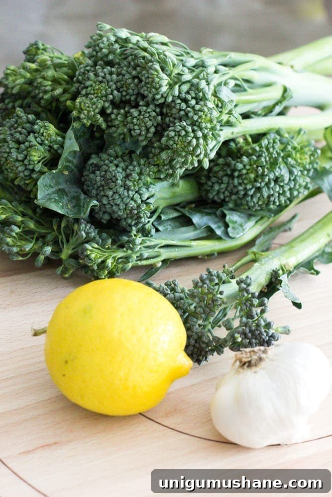 Whole30 Body Makeover: Beginner's 30-Day Starter Guide 5 My Whole 30 Body Makeover | blesserhouse.com - Whole30 Beginner's Guide - Tips, recipes, and advice to lose weight, get more energy, and find success in healthy living.