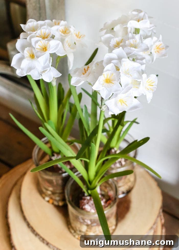 Winter Entryway and Foyer Decorating Ideas 8 6 After-Christmas Winter Foyer Decorating Ideas | blesserhouse.com - 6 tips for decorating a winter foyer or entryway after Christmas to create warm lighting and natural elements for a cozy, inviting space