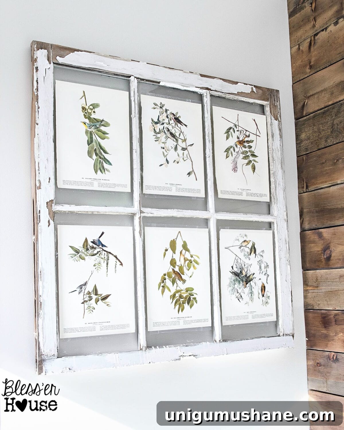 18 Ways to Add Farmhouse Charm to a Builder-Grade Home 19 Vintage window display