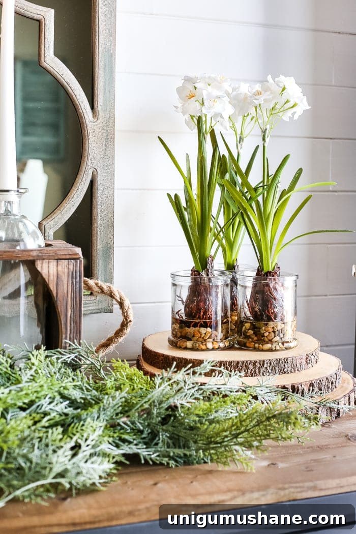 18 Ways to Add Farmhouse Charm to a Builder-Grade Home 28 Potted plant styling