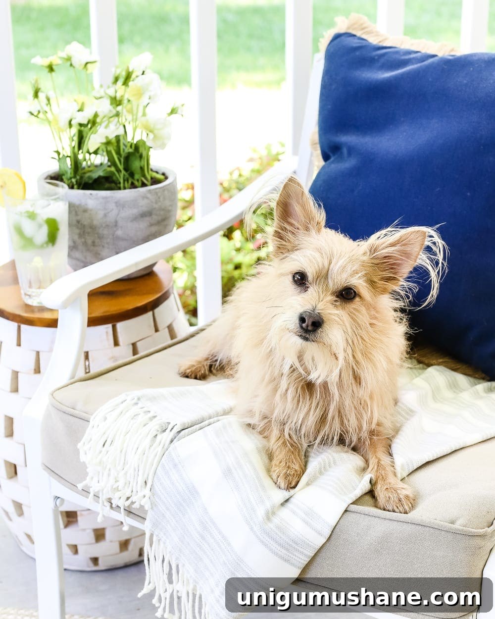 Design a Versatile Outdoor Space for Year Round Use 12 The Secret to Arranging a Versatile Outdoor Space | blesserhouse.com - 1 trick for arranging a versatile outdoor space to get the most function out of a small porch, plus decorating ideas to make it inviting with TJ Maxx. #sponsored