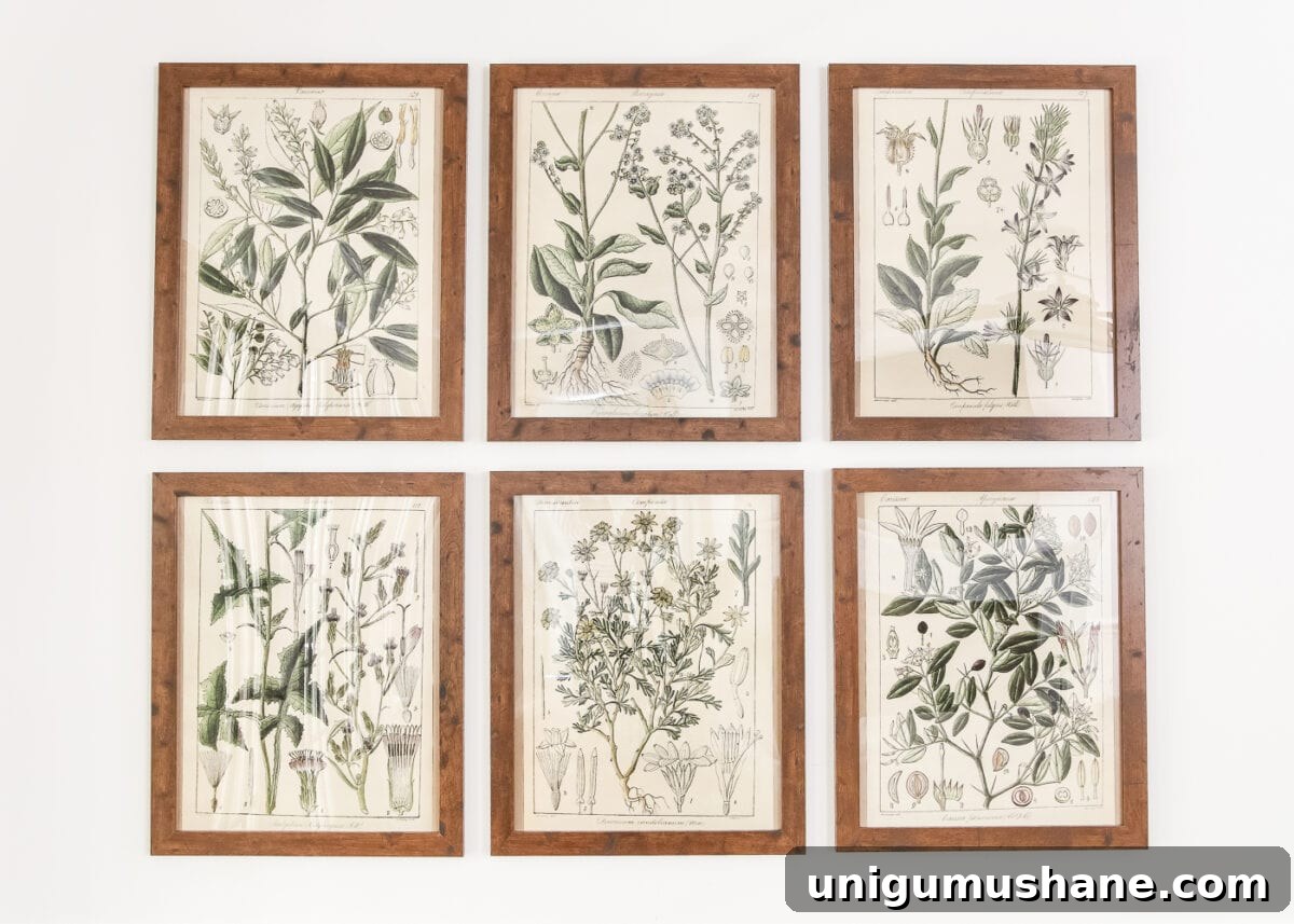 DIY Botanical Printable Art: Wall Hanging Trick 9 Botany Printable Art and a Wall Decor Hanging Trick | blesserhouse.com - A free download of botany printable art perfect for spring and summer, plus a wall decor hanging hack to make hanging frames quick and easy.