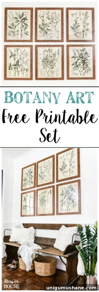 DIY Botanical Printable Art: Wall Hanging Trick 11 Botany Printable Art and a Wall Decor Hanging Trick | blesserhouse.com - A free download of botany printable art perfect for spring and summer, plus a wall decor hanging hack to make hanging frames quick and easy.