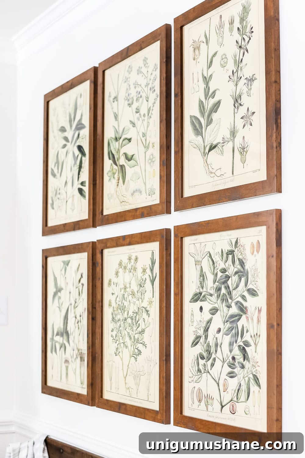 DIY Botanical Printable Art: Wall Hanging Trick 4 Botany Printable Art and a Wall Decor Hanging Trick | blesserhouse.com - A free download of botany printable art perfect for spring and summer, plus a wall decor hanging hack to make hanging frames quick and easy.