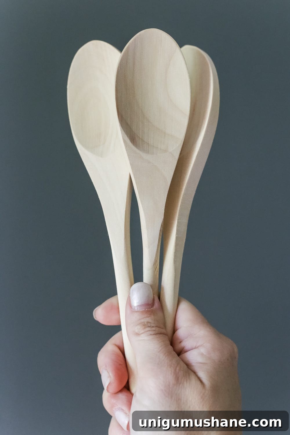 DIY Wooden Spoon Plant Markers: Stylish Garden Labels 2 DIY Wooden Spoon Garden Markers | blesserhouse.com - vintage-inspired garden markers made from wooden spoons