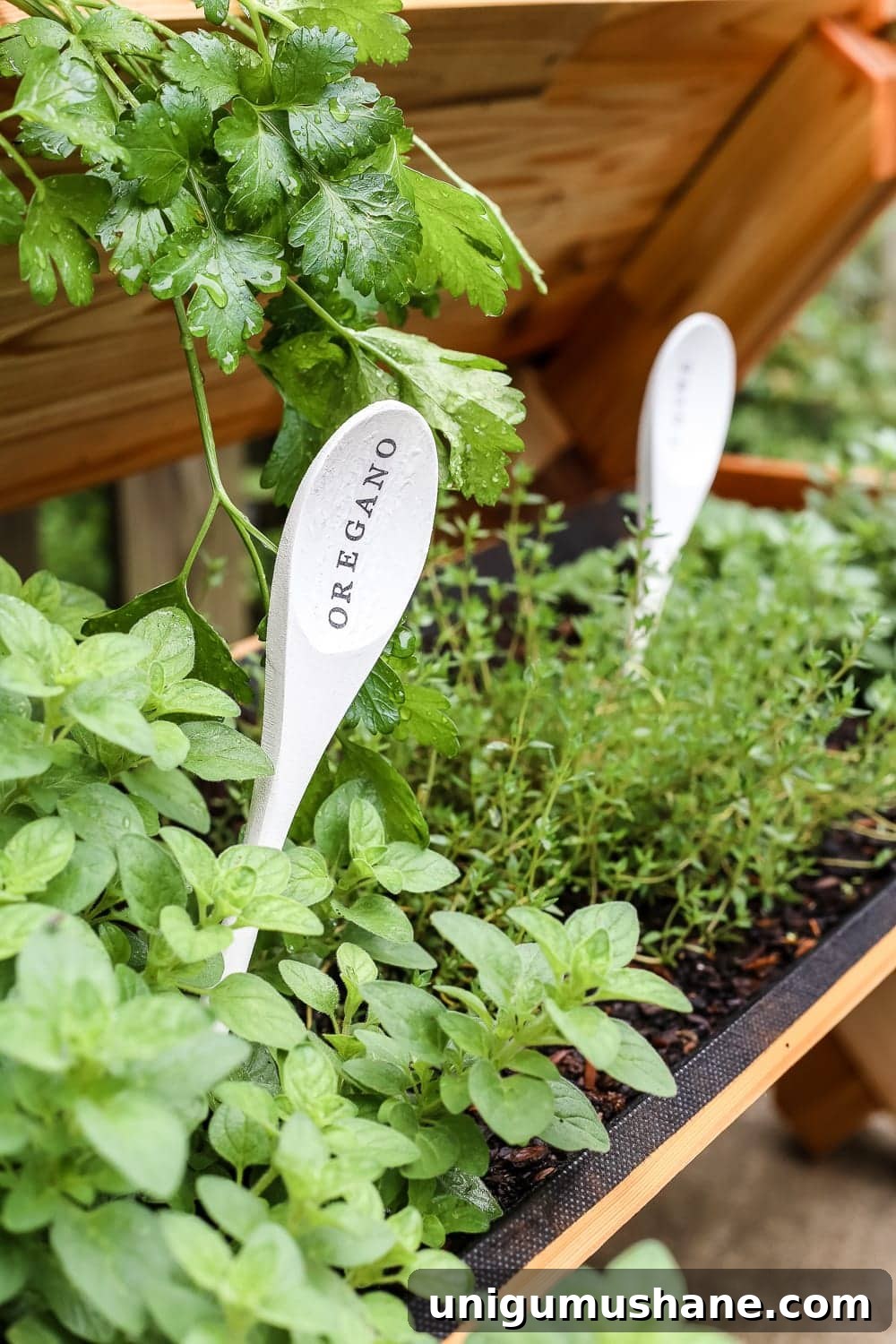 DIY Wooden Spoon Plant Markers: Stylish Garden Labels 6 Finished wooden spoon garden markers