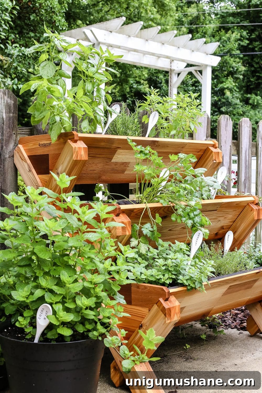 DIY Wooden Spoon Plant Markers: Stylish Garden Labels 8 Herb garden growth