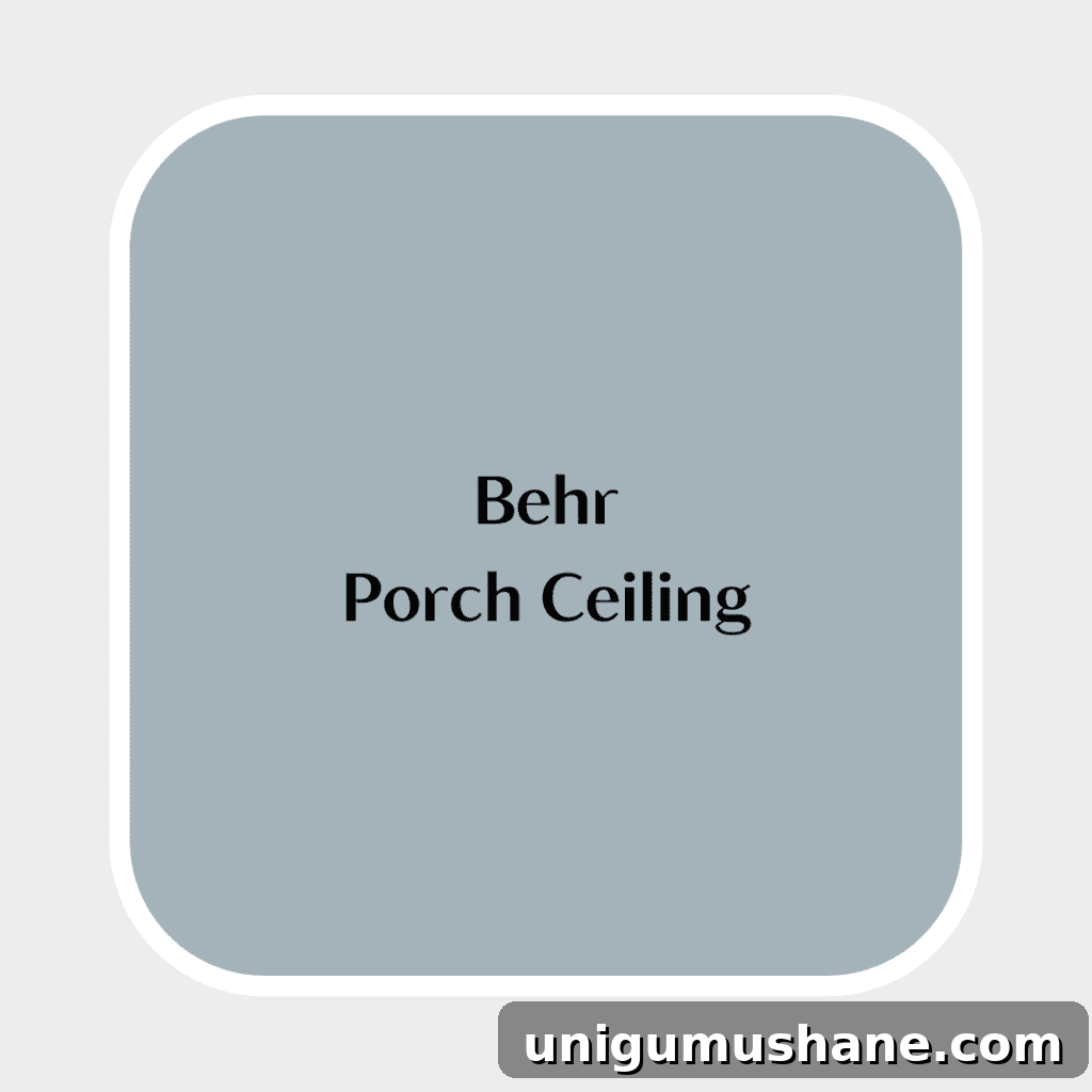 Haint Blue Porch Ceiling Paint Shades 8 behr porch ceiling