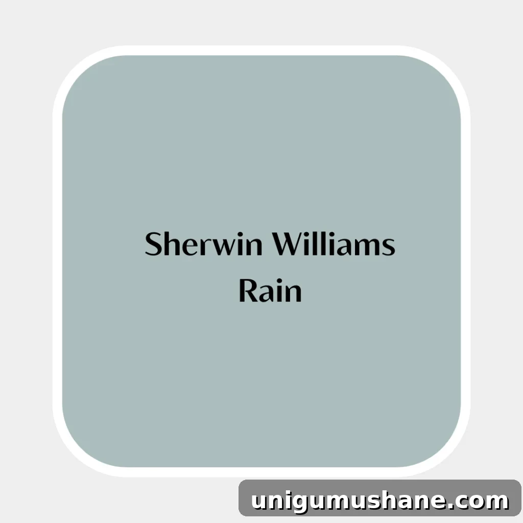 Haint Blue Porch Ceiling Paint Shades 15 sherwin williams rain