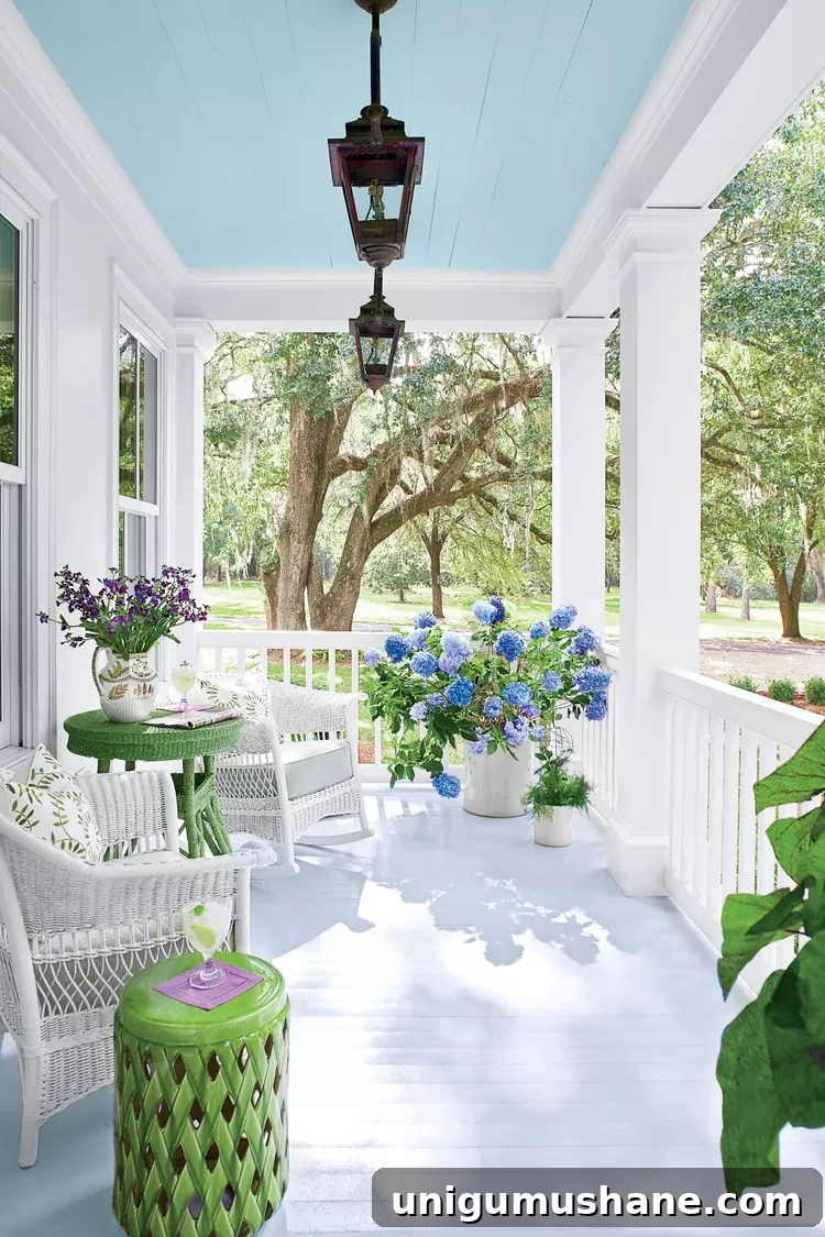 Haint Blue Porch Ceiling Paint Shades 6 Southern porch ceiling in Sherwin Williams Waterscape
