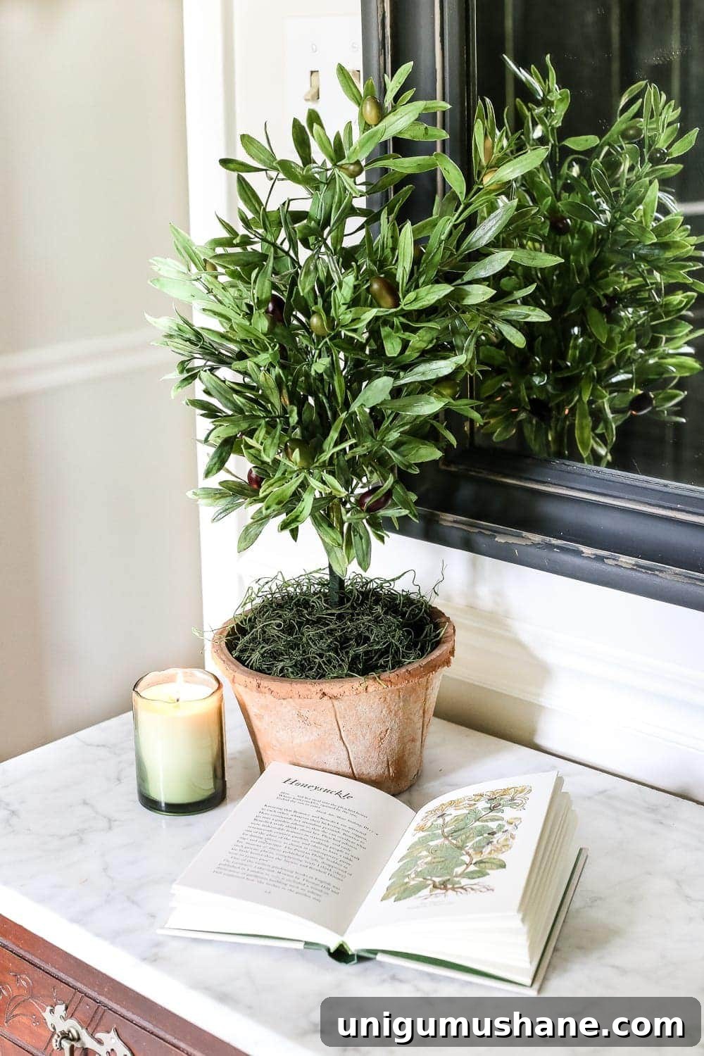 How to Make an Olive Topiary Tree for Your Home 9 DIY Olive Topiary Trees | blesserhouse.com - A 10 minute craft tutorial for how to make an olive topiary tree (or any kind of topiary) inexpensively + 11 DIY summer decor ideas.