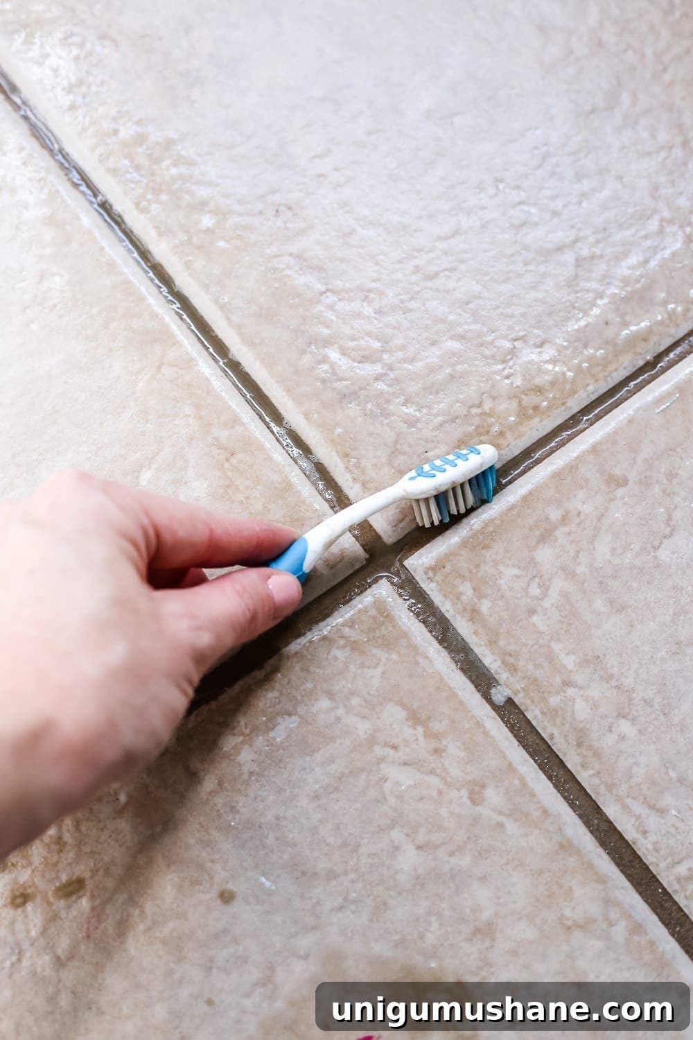 How to Refresh Tile Grout with Paint 4 Cleaning bathroom tile grout with an old toothbrush before using a grout pen