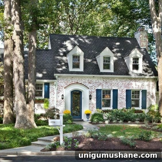 Limewash Brick Exterior Plans | blesserhouse.com - A full exterior brick house makeover plan using real slaked limewash paint and trim color options for a classic European look.
