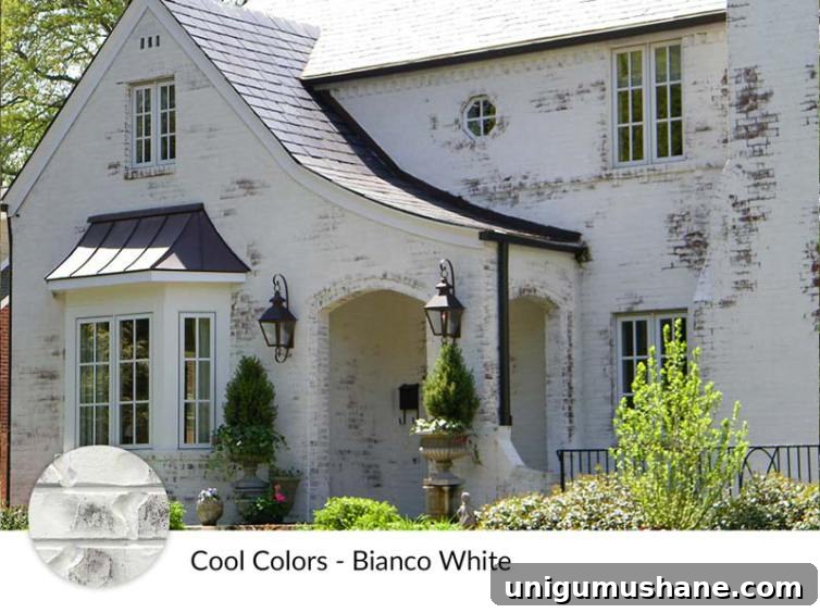 Limewash Brick Exterior Plans | blesserhouse.com - A full exterior brick house makeover plan using real slaked limewash paint and trim color options for a classic European look.