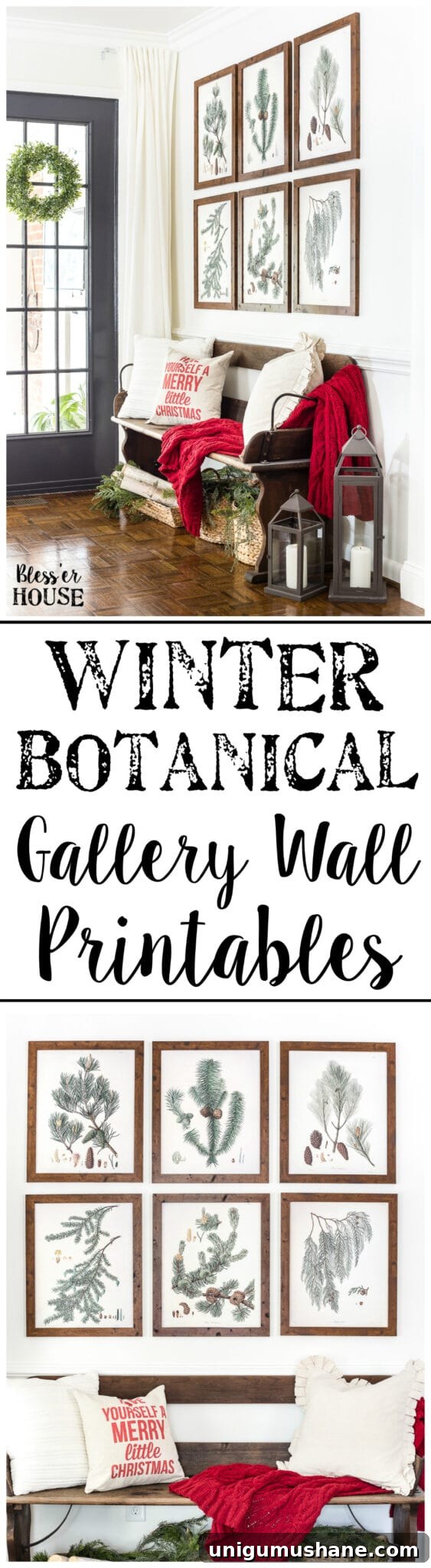 Printable Winter Botanical Gallery Wall Art 8 Winter Botanical Gallery Wall Printables | blesserhouse.com - A Christmas entryway bench and a free downloadable set of winter evergreen botanical prints for a printable gallery wall #christmasprintable #christmasentryway #botanicalprints #gallerywall