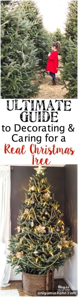 How to Decorate a Real Christmas Tree: Step-by-Step 16 The Ultimate Guide to Decorating and Caring for a Real Christmas Tree | blesserhouse.com - A step-by-step guide for decorating a real Christmas tree like a pro and how to take care of it to make it last throughout the holiday season. #realchristmastree #livechristmastree #christmastree #treedecor