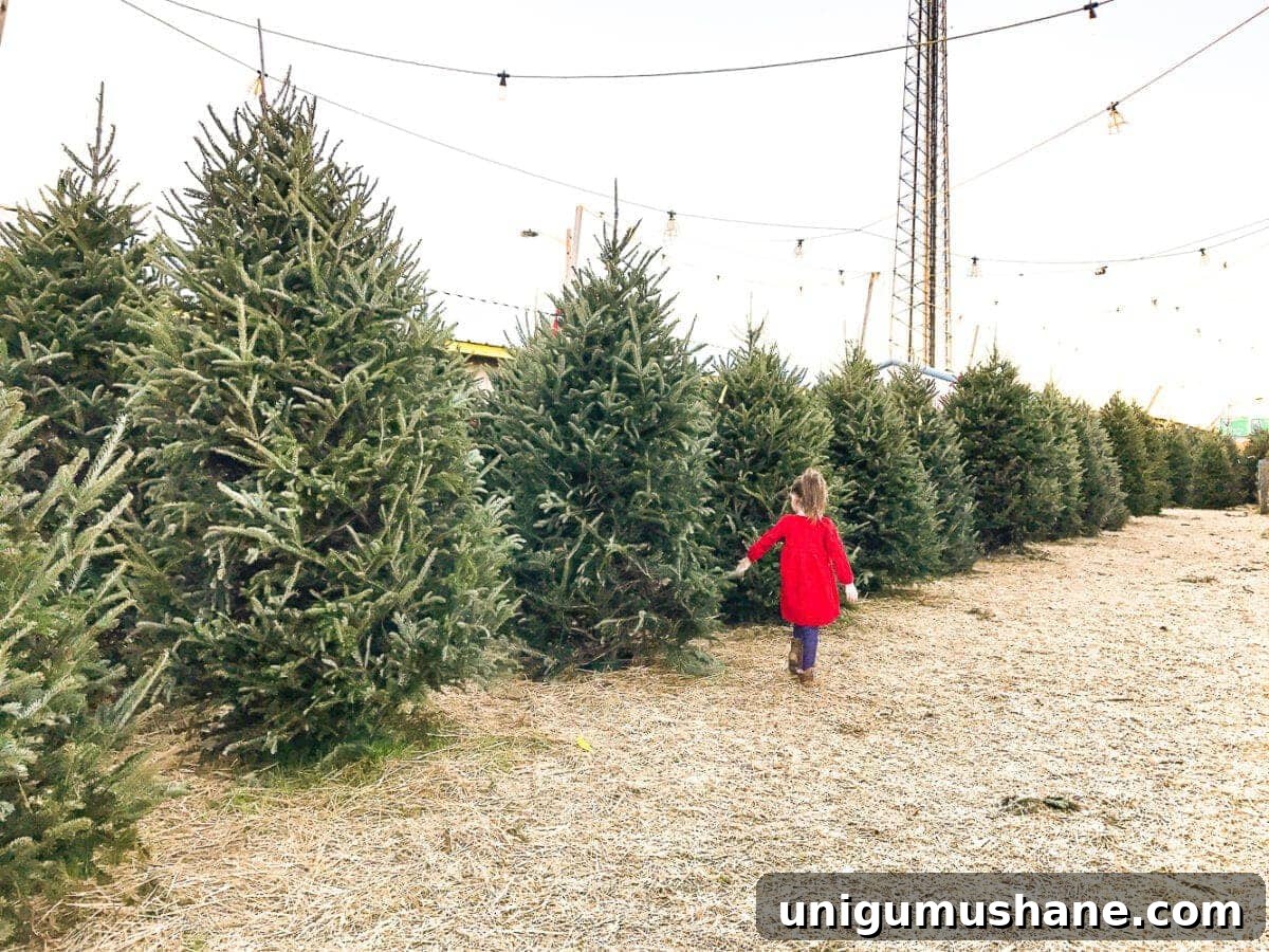How to Decorate a Real Christmas Tree: Step-by-Step 3 little girl at a tree farm