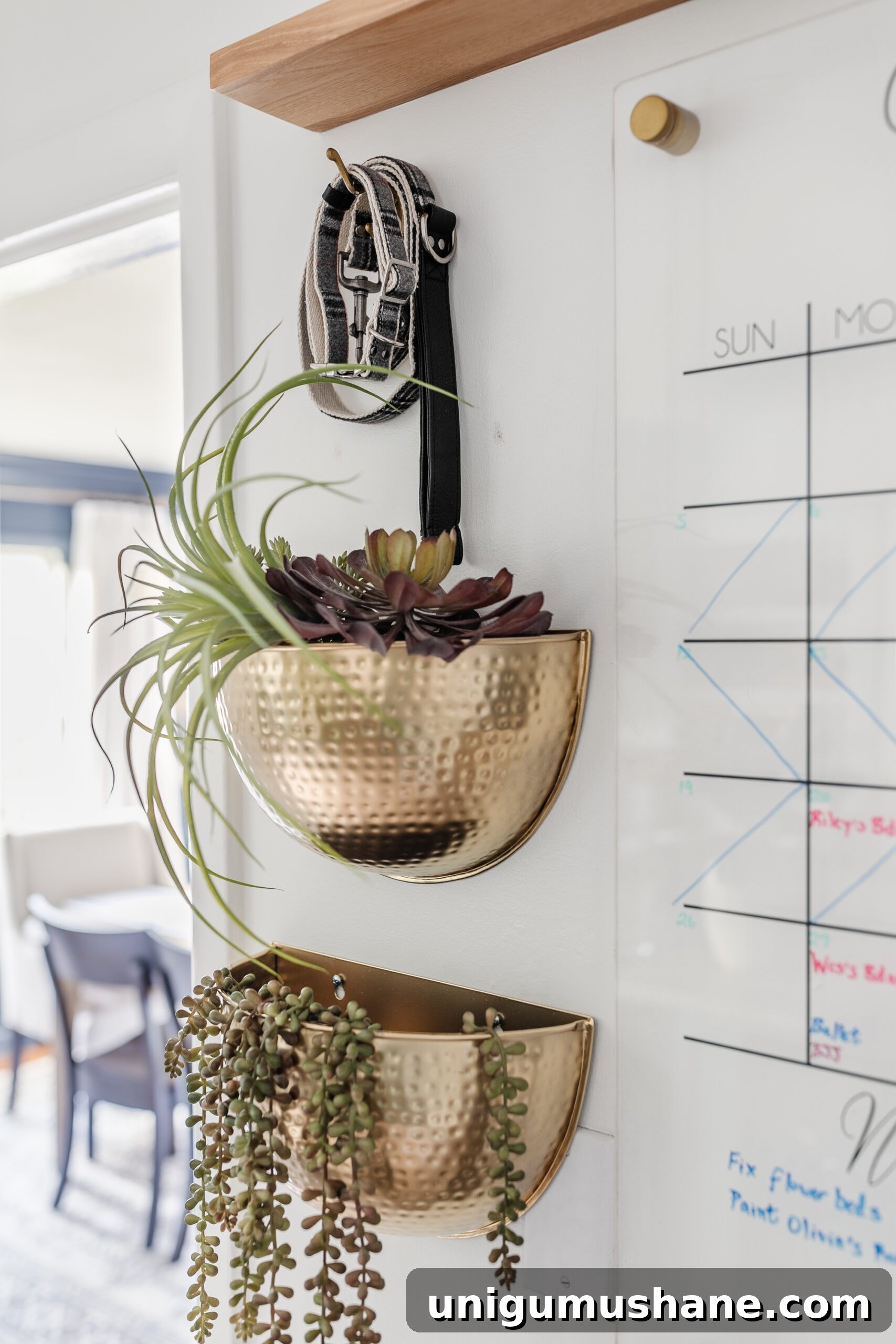 Family Command Center: Practical Setup for an Organized Home 11 hammered brass wall planters with hook for dog leash