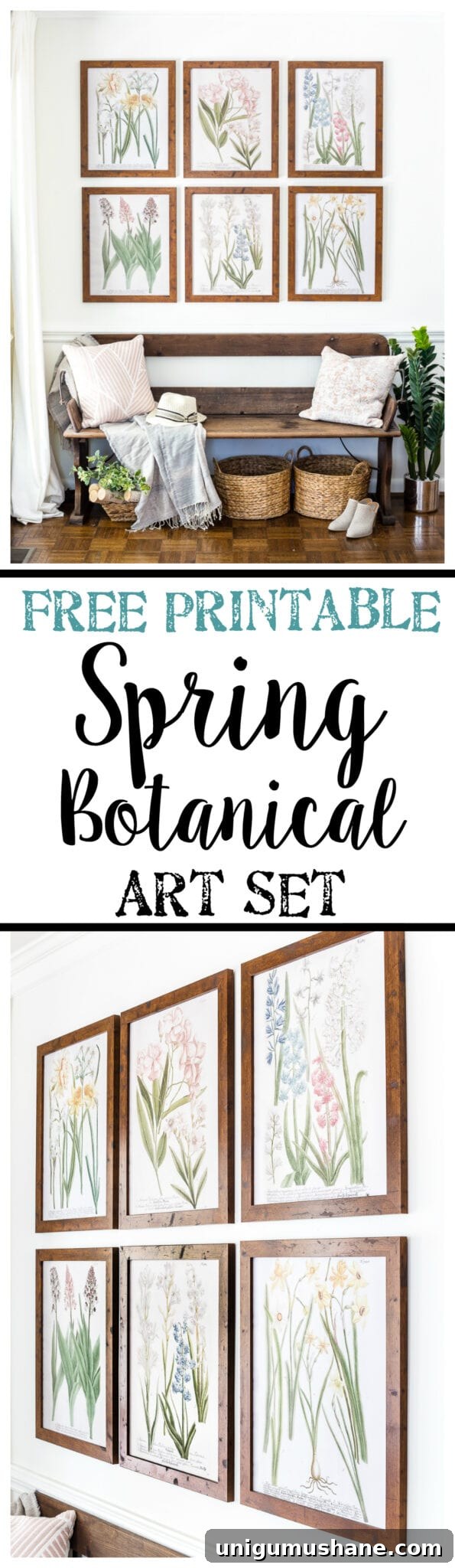 Printable Spring Botanical Art for Gallery Walls 8 A free printable set of spring botanical art for $3 each on color engineer prints or free from your own printer to frame as wall decor. #gallerywall #springdecor #springprintable #freeprintable #freeart