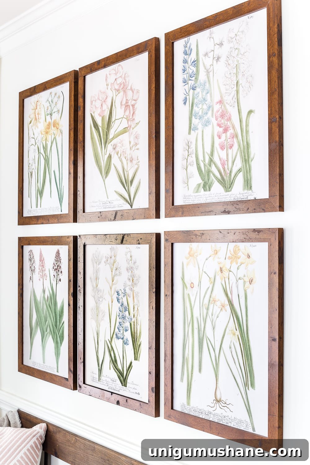 Printable Spring Botanical Art for Gallery Walls 4 A free printable set of spring botanical art for $3 each on color engineer prints or free from your own printer to frame as wall decor. #gallerywall #springdecor #springprintable #freeprintable #freeart