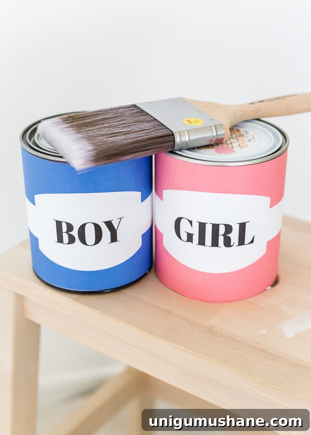 Sprout-Themed Baby Gender Reveal Ideas 3 A gender reveal photo shoot using wall paint for the nursery. #genderreveal #heorshe #boyorgirl #nursery #genderphotoshoot #DIYgenderreveal