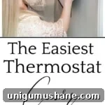 How to Hide a Thermostat Without Compromising Performance 13 simple thermostat cover