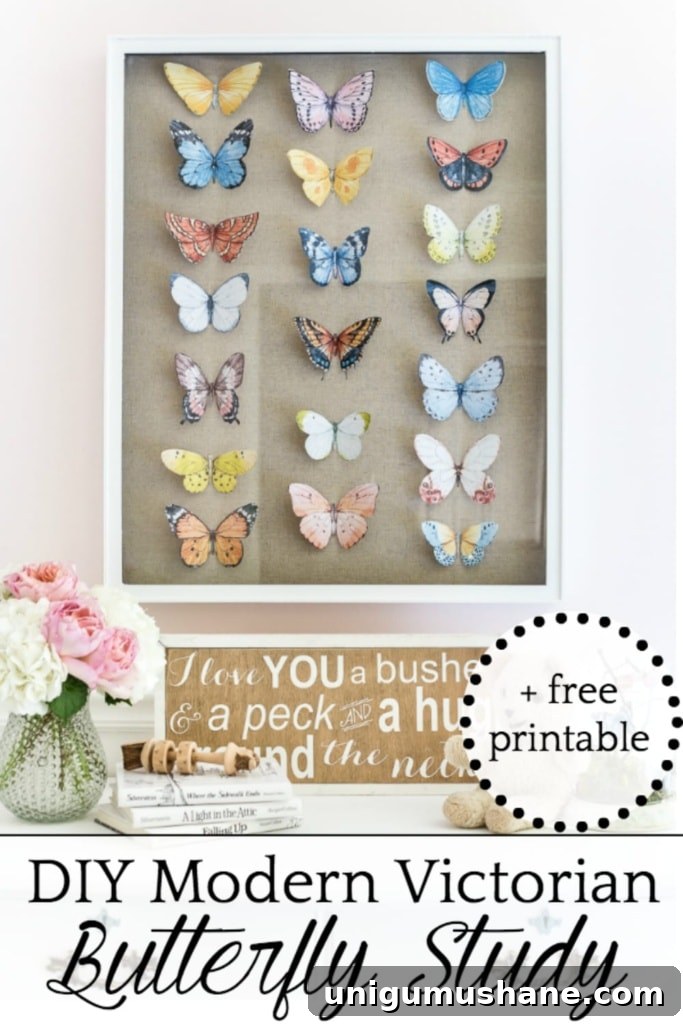 DIY Butterfly Shadow Box Tutorial for Science Projects 11 Pinned image of the butterfly shadow box project for saving later