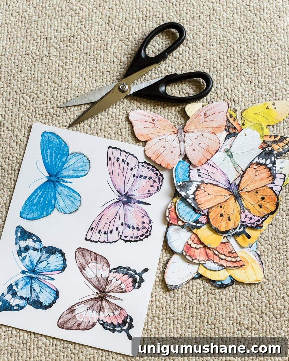 DIY Butterfly Shadow Box Tutorial for Science Projects 4 Painting the shadow box frame with white chalk paint