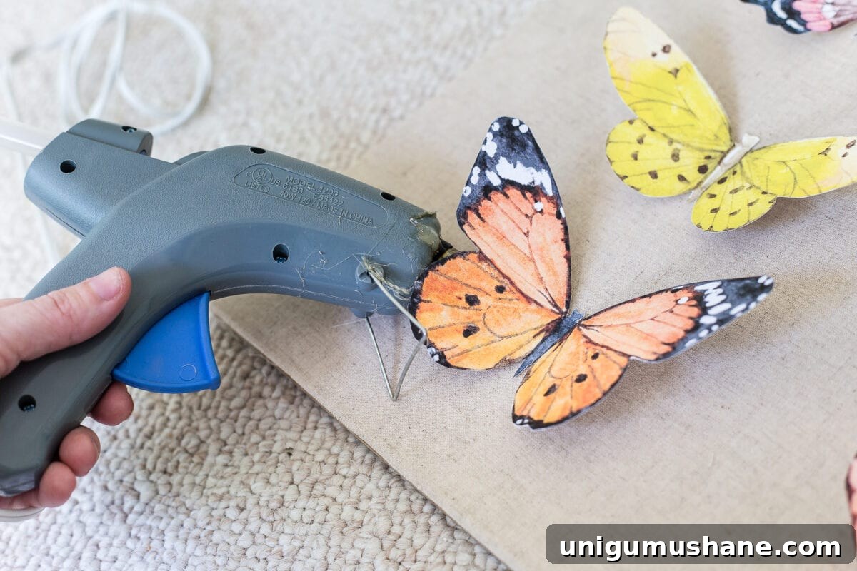 DIY Butterfly Shadow Box Tutorial for Science Projects 6 Three-dimensional watercolor butterfly prints arranged and glued inside a shadow box