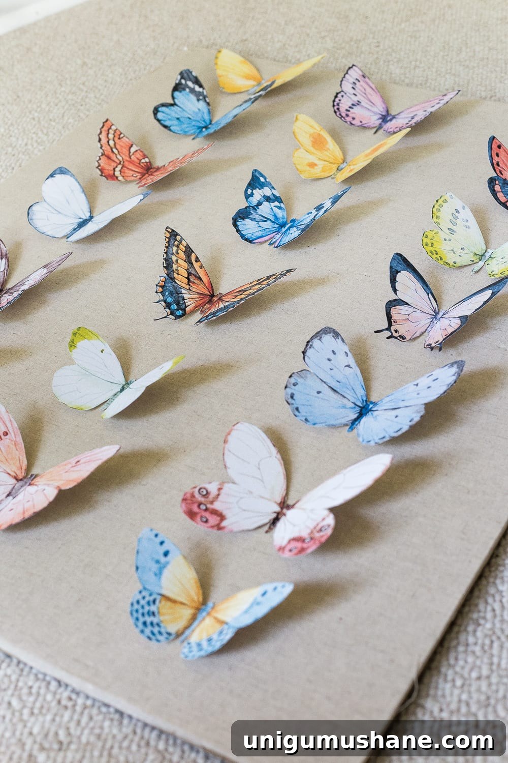 DIY Butterfly Shadow Box Tutorial for Science Projects 7 Finished butterfly study shadow box displayed on a dresser