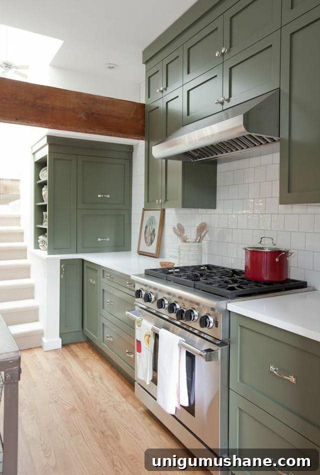 Green Kitchen Cabinet Ideas to Transform Your Space 15 Benjamin Moore Forest Floor - deep olive green cabinets