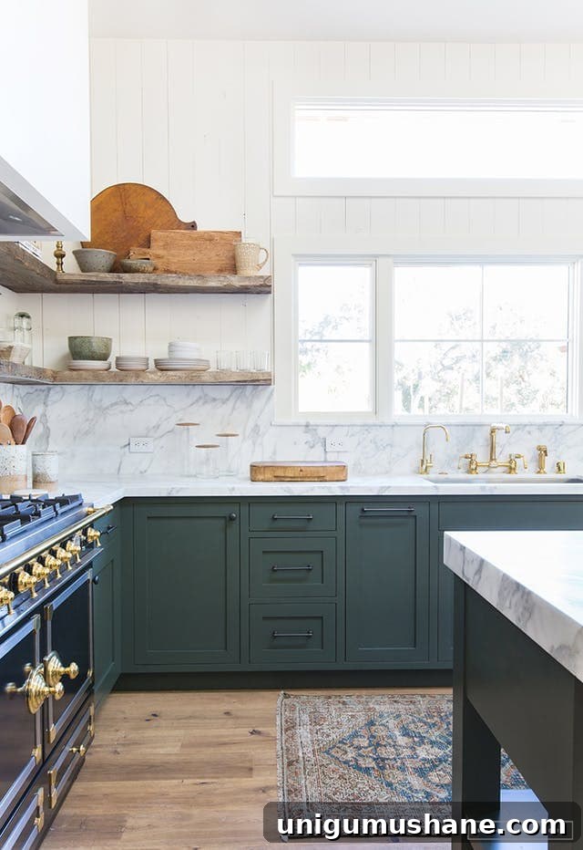 Green Kitchen Cabinet Ideas to Transform Your Space 6 Dunn-Edwards Midnight Spruce - green kitchen cabinets