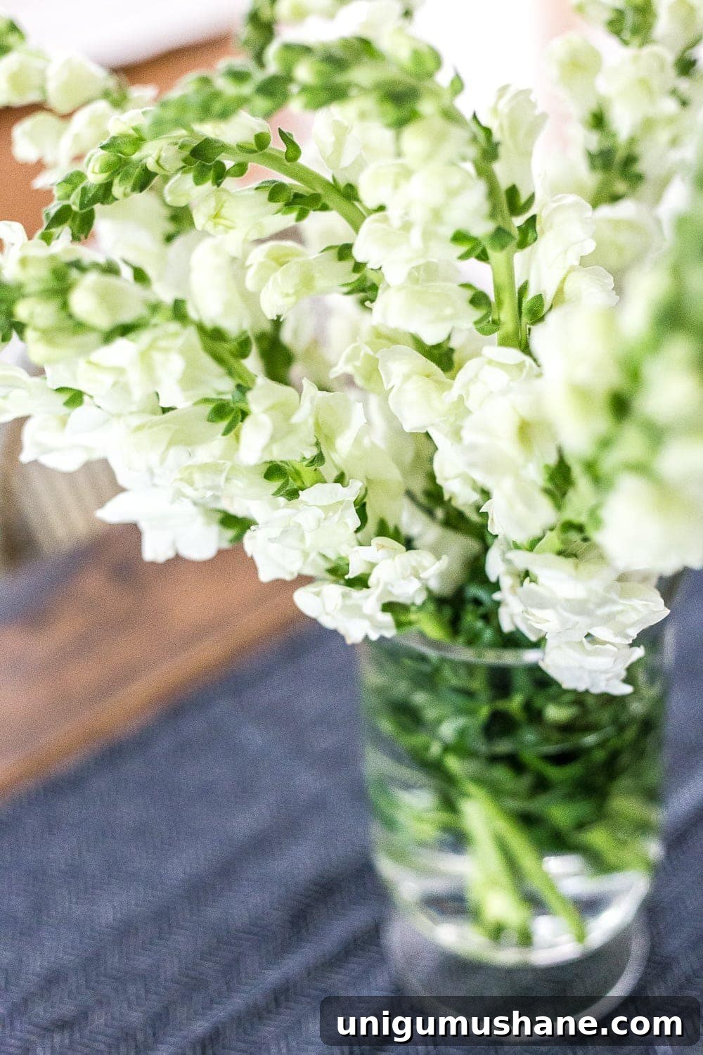 white summer flowers in a vase