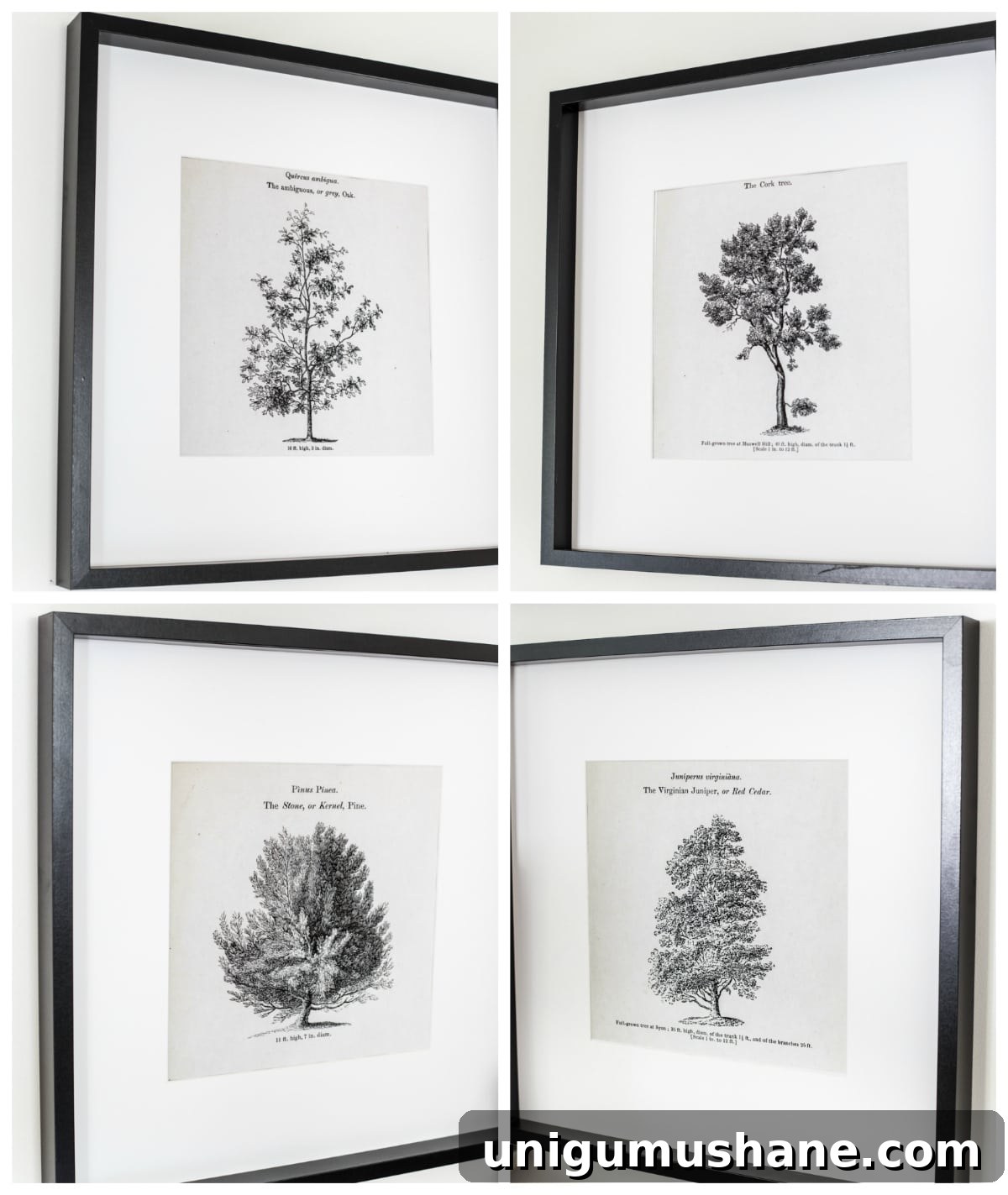 Arbor Wall Art Printables: Instant Download Set 9 Framed prints and coffee bar styling