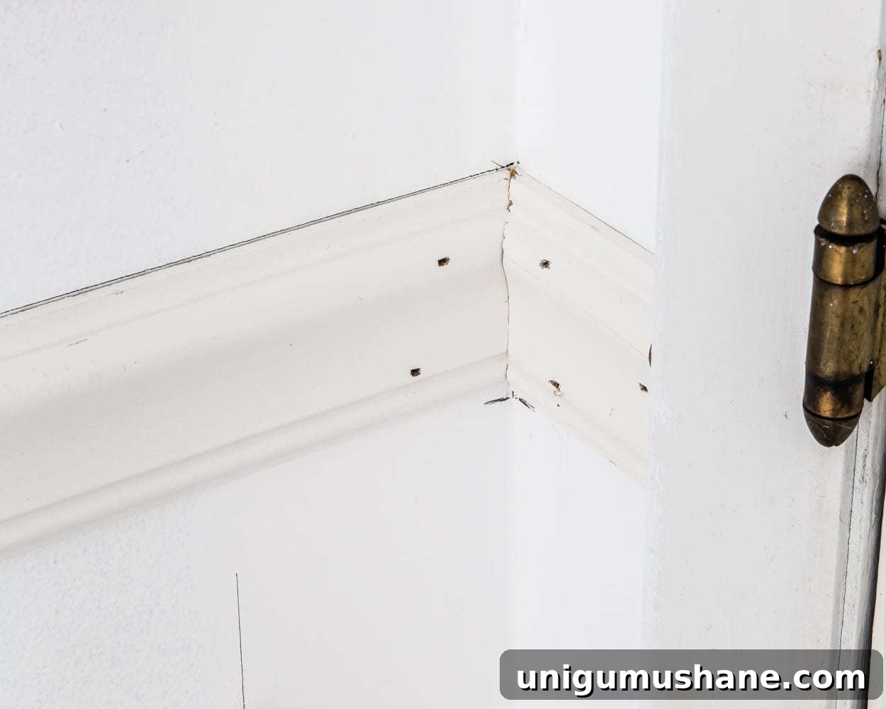 coping corners for chair rail