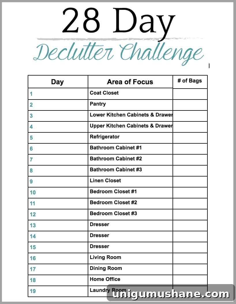 Declutter Your Whole Home: Free Printable Checklist 5 28 Day Declutter Challenge Checklist Printable - How to declutter your entire house without losing your mind, plus tips and a free printable to make the process easier and more efficient.