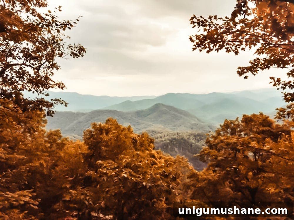 Printable Autumn Mountain Landscape Wall Art 3 Autumn mountain landscape art printable and fall kitchen shelf vignette + more free fall printables