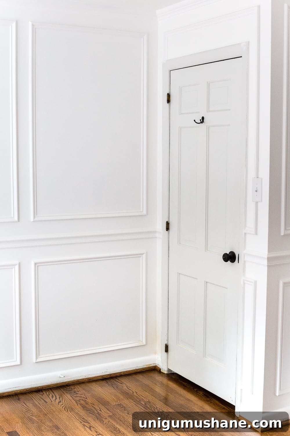 How to Paint Doors That Last: Durable Finishes and Tips 11 paint interior doors before