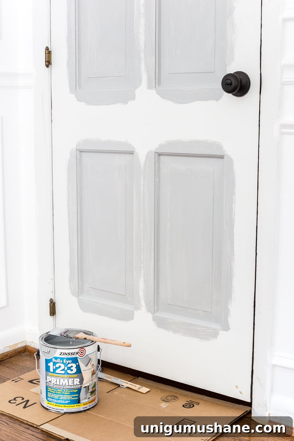How to Paint Doors That Last: Durable Finishes and Tips 17 painting doors with tinted primer