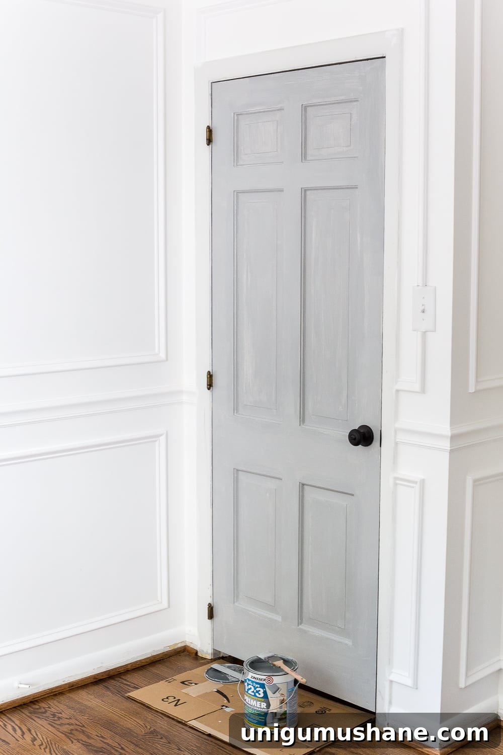 How to Paint Doors That Last: Durable Finishes and Tips 19 painting a door with tinted primer