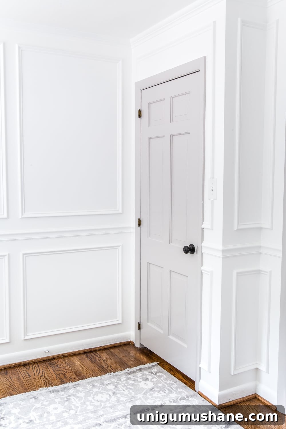 How to Paint Doors That Last: Durable Finishes and Tips 20 gray painted door with white walls and picture frame molding